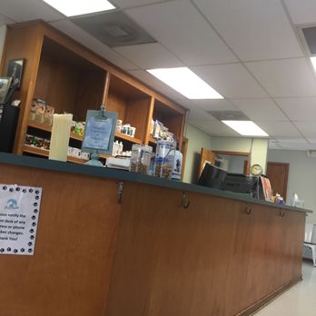 Oceanside Veterinary Clinic - Veterinarians Near Me - Charleston, South Carolina Oceanside Veterinary Clinic - Veterinarians Near Me - Charleston, South Carolina