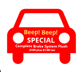 Professional Brake Service