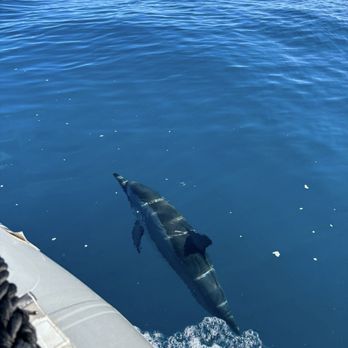 Capt Andy's - Boat Tours Near Me - Ele'ele, Hawaii