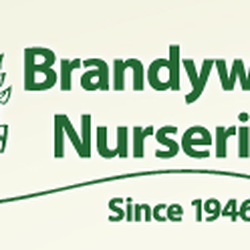Brandywine Nurseries - Brandywine Nurseries logo