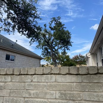 Good Guys Tree Service - My neighbors tree was touching our Roof. I had them cut branches back to our sidewalk - Tree Services Near Me - Austin, Texas Good Guys Tree Service - My neighbors tree was touching our Roof. I had them cut branches back to our sidewalk - Tree Services Near Me - Austin, Texas
