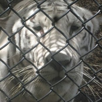 Jungle Island - Wow, close up. - Amusement Parks Near Me - Miami, Florida
