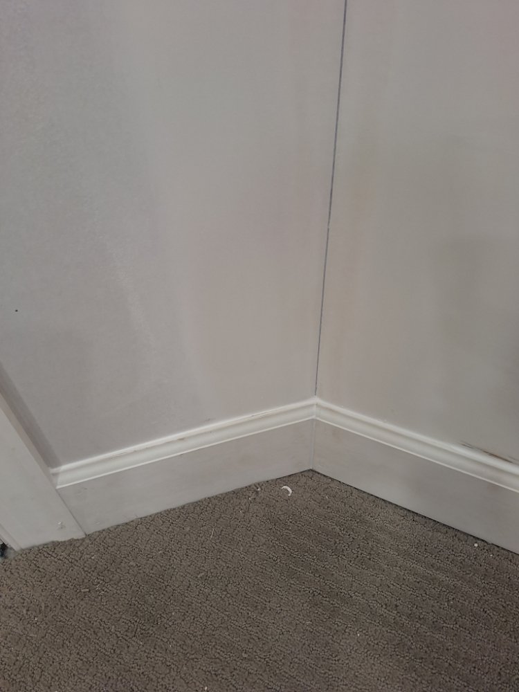 Slide of Lewis Remodel & Repair