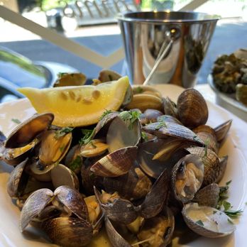 Taylor Shellfish Farms - Steamed Clams - Seafood Near Me - Seattle, Washington Taylor Shellfish Farms - Steamed Clams - Seafood Near Me - Seattle, Washington