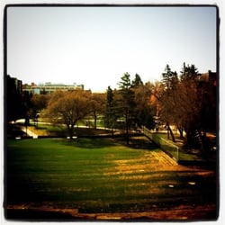 University of Alberta