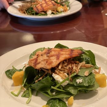 Oceano Bistro - Spinach and Grilled Salmon Salad - Seafood Near Me - Clayton, Missouri
