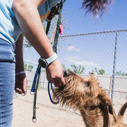 Church Ranch Veterinary Center