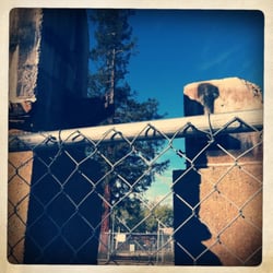 Trace Elementary School - Burned out gym and main building