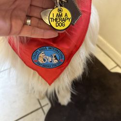 Wet Kisses Pet Company