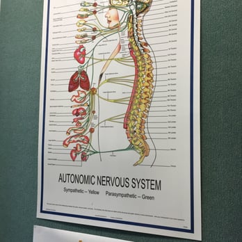 Frye Chiropractic - The autonomic nervous system... - Chiropractors Near Me - Lancaster, California