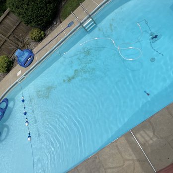 Life Line Pool and Spa - Mustard Algae - Pool & Hot Tub Service Near Me - LaPlata, Maryland Life Line Pool and Spa - Mustard Algae - Pool & Hot Tub Service Near Me - LaPlata, Maryland