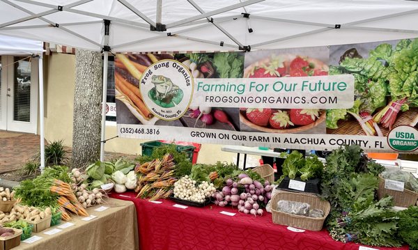 Haile Farmers Market by null