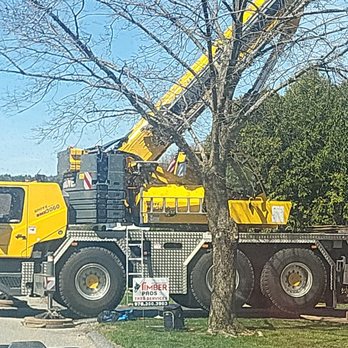 Timber Pros - Tree Services Near Me