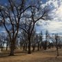 Photo of Forrest Park