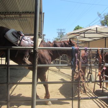 Griffith Park Horse Rentals - Horseback Riding Near Me - Glendale, California