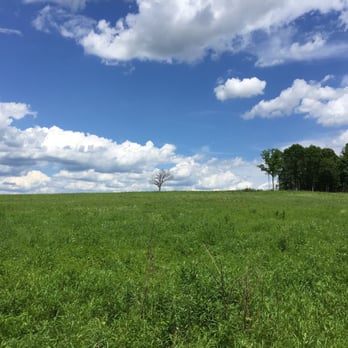 Shaw Nature Reserve - More prairie - Botanical Gardens Near Me - Gray Summit, Missouri