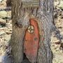 Photo of Fairy Trail - Mendon Ponds Park