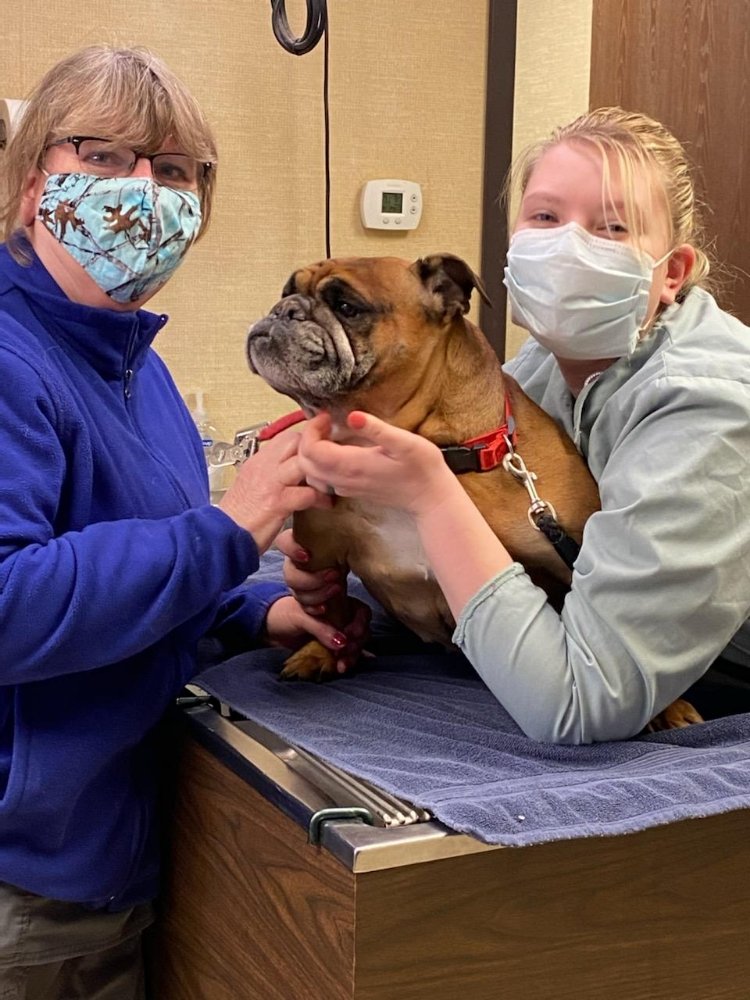 INTERSTATE VETERINARY HOSPITAL Updated September 2024 421 5th St