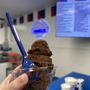 Photo of Handel’s Homemade Ice Cream