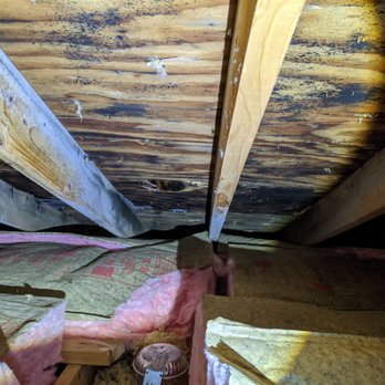 Smart: Mold & Mildew - Damage Restoration Near Me - Wheaton, Illinois