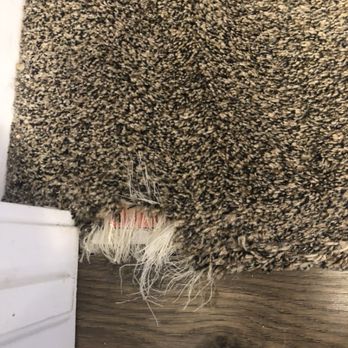 J&B Simply Clean Carpets - Pet damaged carpet: before - Carpet Cleaning Near Me J&B Simply Clean Carpets - Pet damaged carpet: before - Carpet Cleaning Near Me