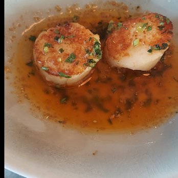 Seabird - The best scallops I've ever had!!!! - Seafood Near Me - London, XGL Seabird - The best scallops I've ever had!!!! - Seafood Near Me - London, XGL