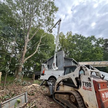 A&M Services - Tree Services Near Me - Dallas, Georgia A&M Services - Tree Services Near Me - Dallas, Georgia