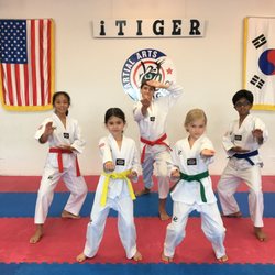 iTiger Martial Arts Taekwondo