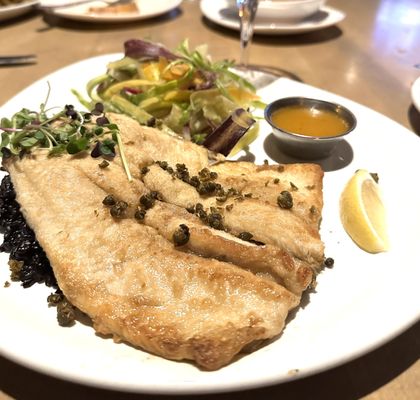 Cadence Kitchen & Co by null