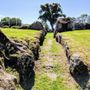 Photo of Grange Stone Circle