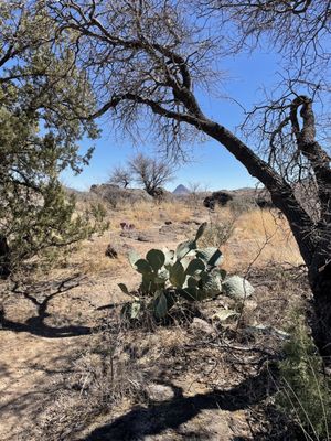 Chihuahuan Desert Research Institute by null