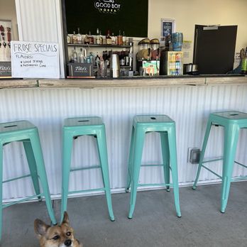 Urban Dog Bar - Dog Parks Near Me - Nashville, Tennessee Urban Dog Bar - Dog Parks Near Me - Nashville, Tennessee
