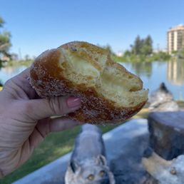 Bavarian cream filled donut Bavarian cream filled donut