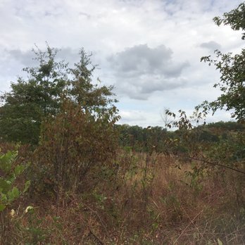 Glenhurst Meadows Preserve - Hiking Near Me - Warren, New Jersey
