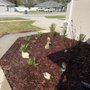 Photo of Hildreth Sod & Landscape