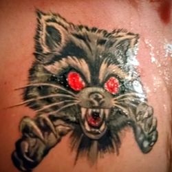 Addictive Arts Tattooing - My Angry Coon came along nicely
