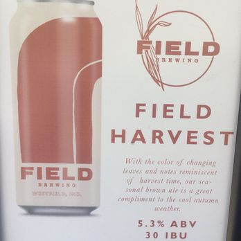 IndyStar Wine + Food Experience - Tasty brew - Festivals Near Me - Carmel, Indiana