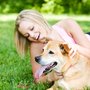 Photo of Dogs Love Running!
