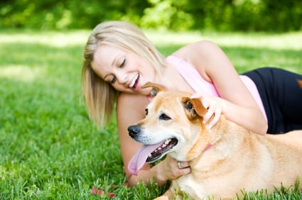 Dogs Love Running! - pet boarding facility in Naperville, IL