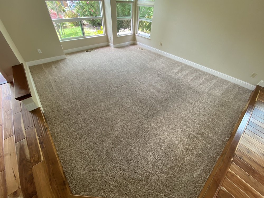 CARPET MASTER Castro Valley, California Carpet Cleaning Phone