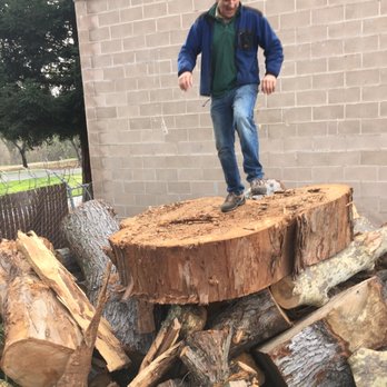 Bellizzi Tree Service - The owner on large Euc stump - Tree Services Near Me Bellizzi Tree Service - The owner on large Euc stump - Tree Services Near Me