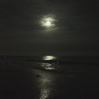 Grunion Run - Beaches Near Me - San Pedro, California