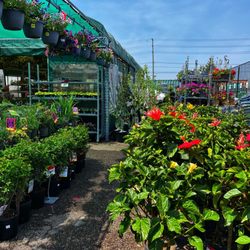 Canadian Tire - Garden Center