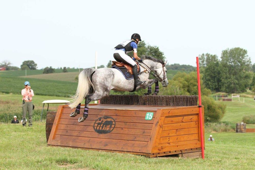 Livin A Dream Farm Logo