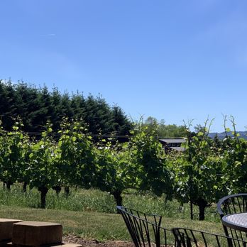 Archer Vineyard - The view - Wine Tasting Room Near Me - Newberg, Oregon