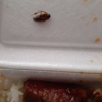 Bamboo Hibachi & Wings - Just ordered a few minutes ago and this is what was in my food!!!! I am beyond disgusted.  I use to be a loyal customer.  Never again!!! - Teppanyaki Near Me - Myrtle Beach, South Carolina