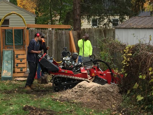 Taf Companies of CNY