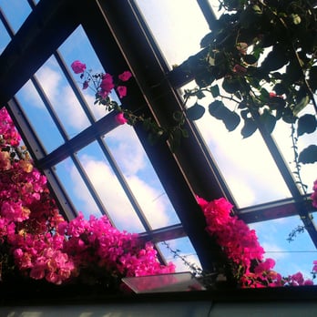 Glasgow Botanic Gardens - Parks Near Me - Glasgow, GLG