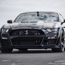 True Street Motorsports - shelby