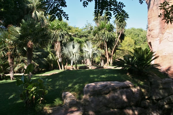 Bioparc Fuengirola by null